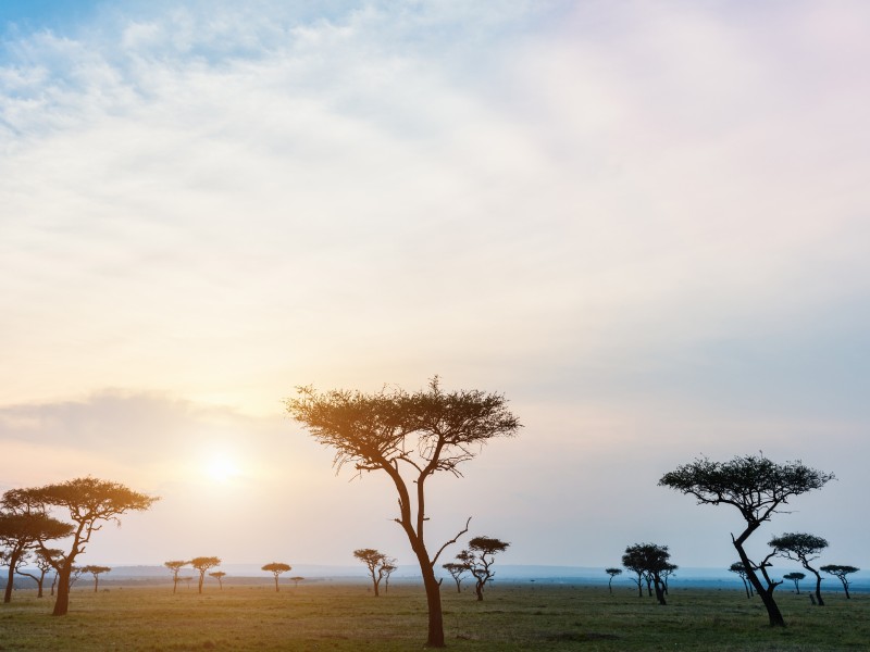 Kenia - von der Savanne bis zum Strand