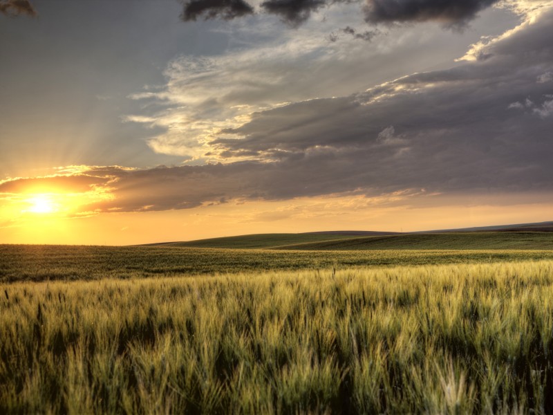 Ranchland & Prairies im Herzen Kanadas