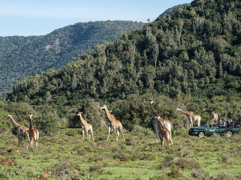 Garden Route Moments – Natur, Tiere & unvergessliche Erlebnisse - geführt (H019)