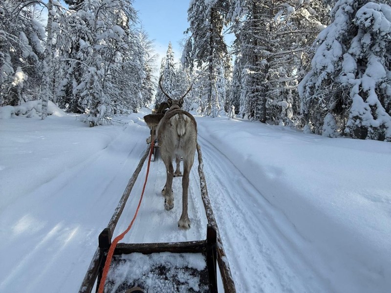 Begleitete Erlebnisreise Lappland (VN001)