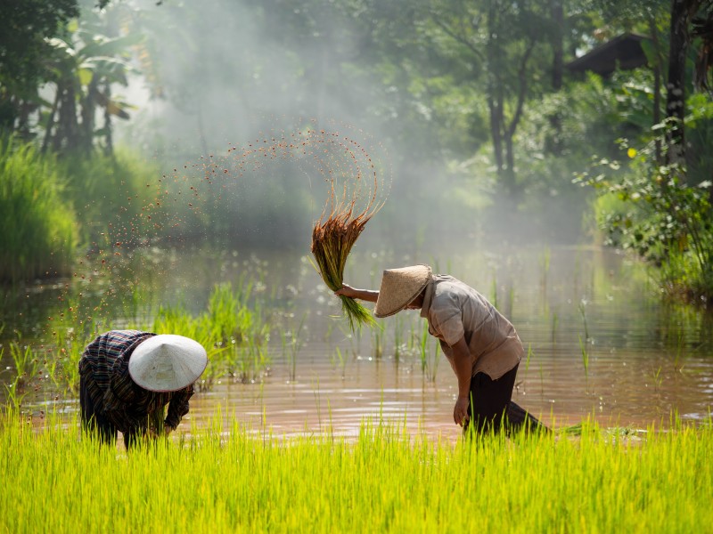 Vietnam 2027