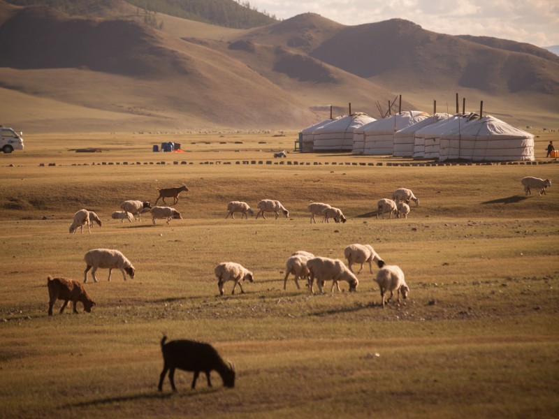 Asien, Mongolei, Jurten