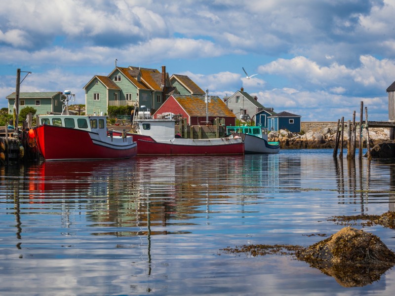 Nova Scotia entdecken wie die Boomies (MP039)