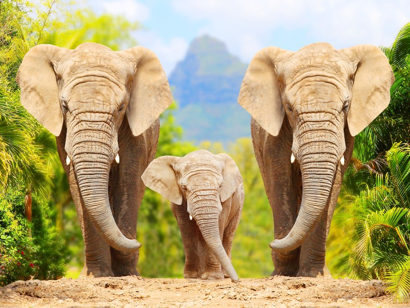 NZZ Lesereise Südafrika 