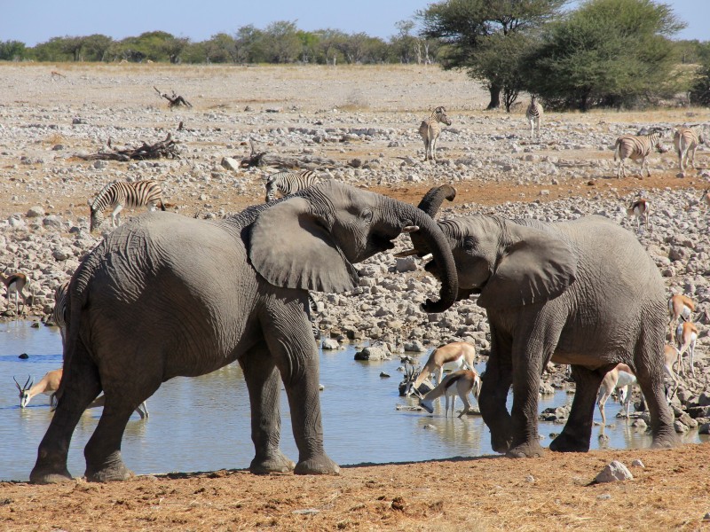 Afrikas Facetten als Privattour