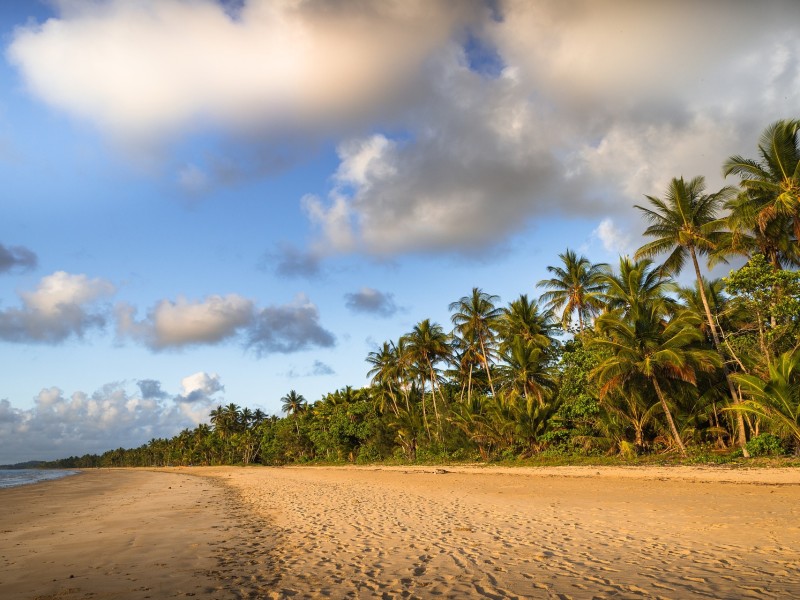 Riff, Regenwald und Outback in Australiens tropischem Nordqueensland