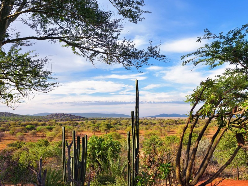 Namibia_Damaraland