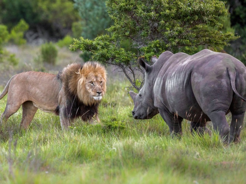 Garden Route Moments – Natur, Tiere & unvergessliche Erlebnisse - geführt (H019)