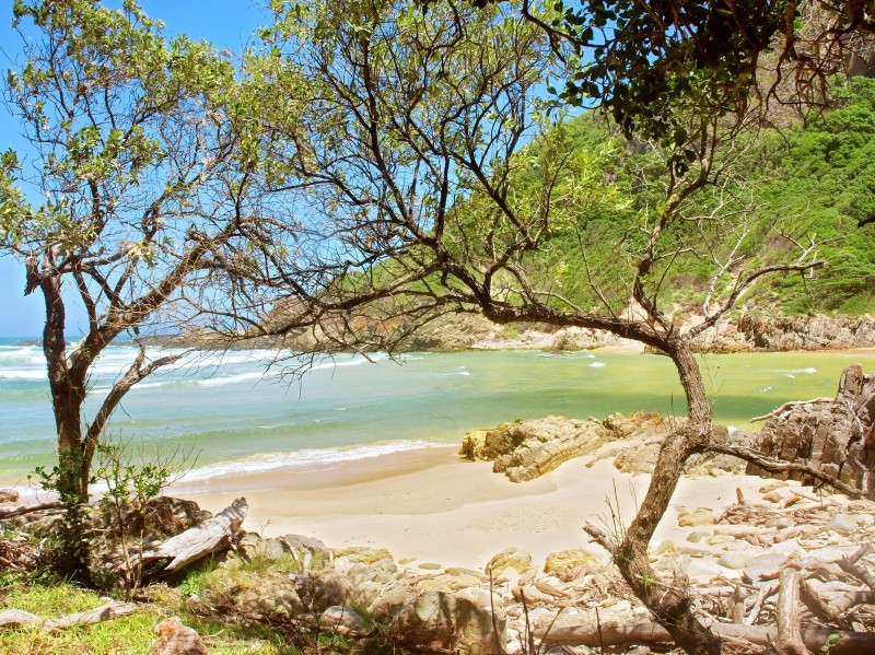 Südafrika: Zauberhafte Garden Route
