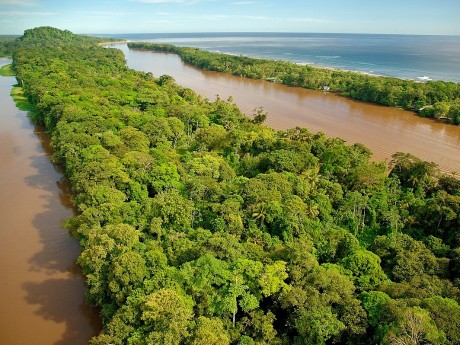 Tortuguero_1