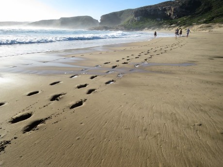 Beach in Plettenberg Bay