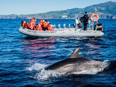 Azoren Bootstour ©Turismo dos Açores