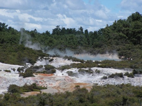 Hot springs in Rotorua