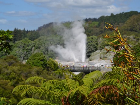 Neuseeland_Nordinsel_Rotorua_Te Puia