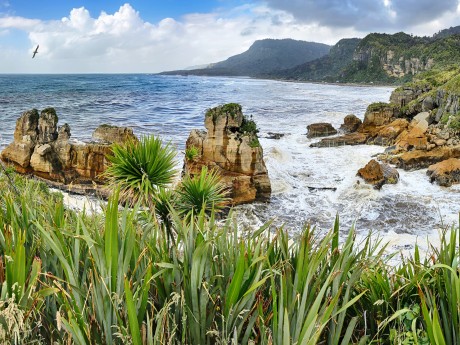 Neuseeland_Südinsel_Paparoa_shutterstock