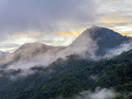 Ecuador_Mindo_Nebelwald