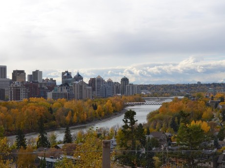 Calgary view with trees
