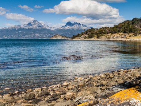 Argentinie_Lapataia Bay_Tierra del Fuego