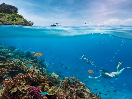 Fiji_Mamanucas_Snorkle_©Tourism Fiji
