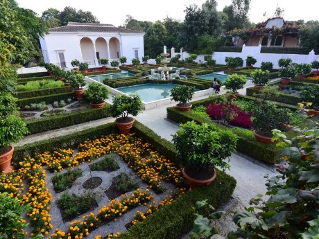 Hamilton Garden