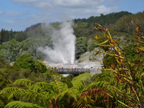 Neuseeland_Nordinsel_Rotorua_Te Puia_shu