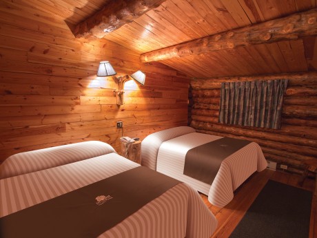 Belugas & Eisbären - Lazy Bear Lodge DZ