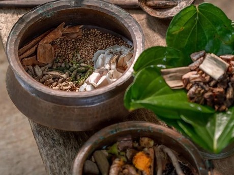 Ayurveda, Kräuter