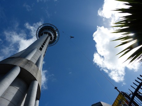 Sky Tower in Auckland