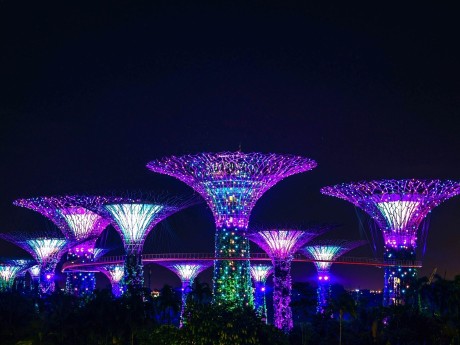 Gardens by the Bay bei Nacht