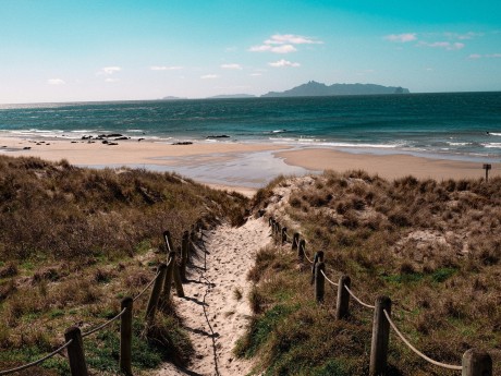 Auckland Beaches