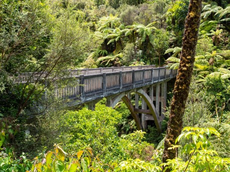 Neuseeland_Nordinsel_Whanganui NP_Bridge