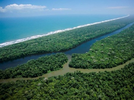 Tortuguero Canals and Sea Aerial View