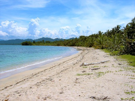 Cahuita Beach