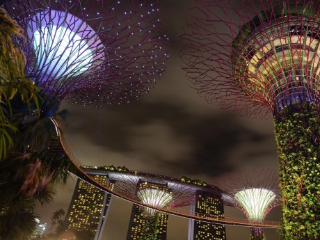 Super Trees, Gardens by the Bay
