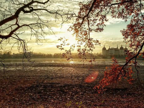 Schloss Moritzburg im Herbst