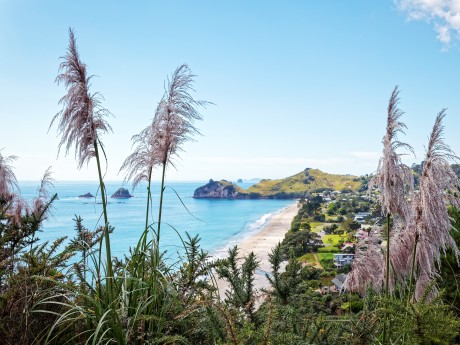 Neuseeland_Ni_Coromandel Peninsula_Hahei
