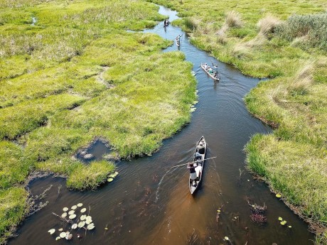 Okavango Delta_Mokoro_untitled-0036