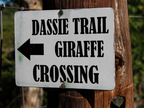 Africa Experience_Namibia Experience_Wan