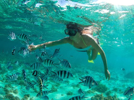 Mauritius_Schnorcheln_shutterstock©ohrim