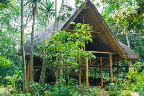 Kibale Forest Camp