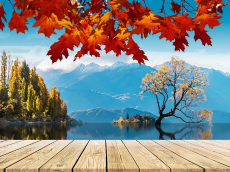 Neuseeland_Südinsel_Lake Wanaka_Landscha