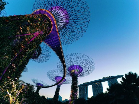 Marina Bay Sands & Super Trees
