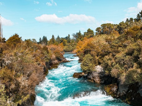 Nature in Taupo
