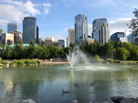 Garden in Calgary, Canada