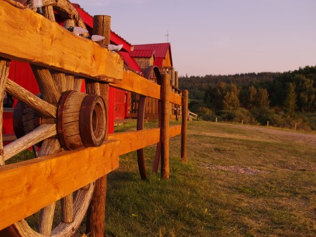 Historic Reesor Ranch - Outside