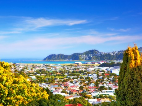Neuseeland_Nordinsel_Wellington_shutters