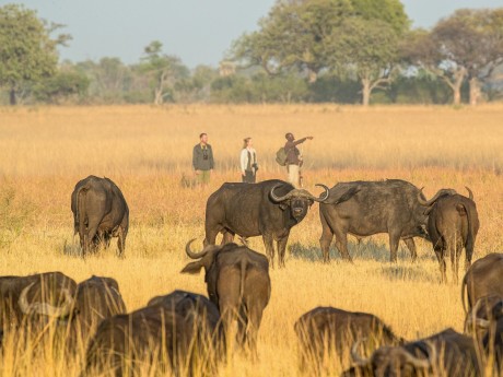 Camp Okavango_Botswana_Okavango-Delta-Gu