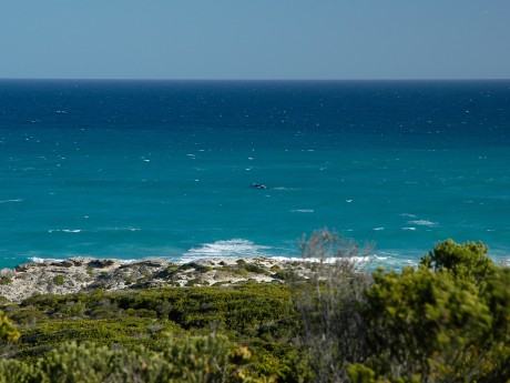 De Hoop Collection_Südafrika_wildlife_Wh