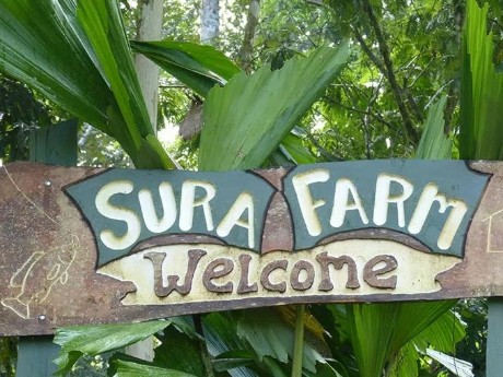 Finca Surá Willkommen
