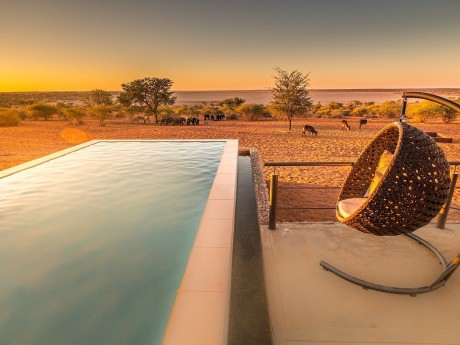 Bagatelle Kalahari Game Ranch Pool